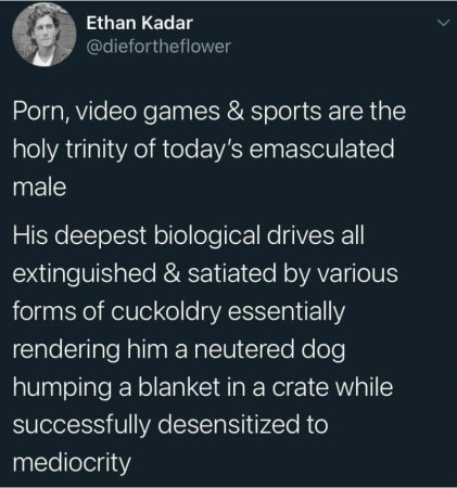 7d49d333e47bf022.jpeg