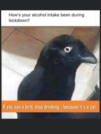 3e148fe3982c9c53.png
