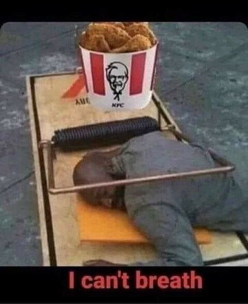 6ba463aa7c0dc01f.jpeg