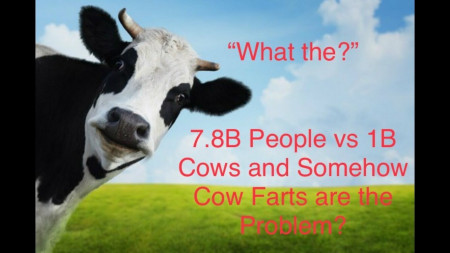 f5837effa382e666.jpeg