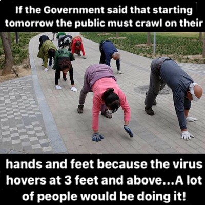 24369d1bcb4c640c.jpeg