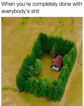 41b971ed9213e8f5.jpeg