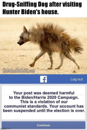 11a487f4c0d4012a.jpg