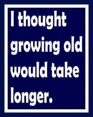 ca02f5e4fadd7030.png