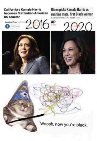 f30219a5216782f7.jpeg