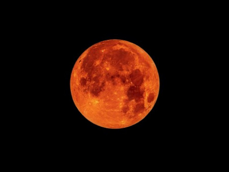 blood moon 11.3.jpeg