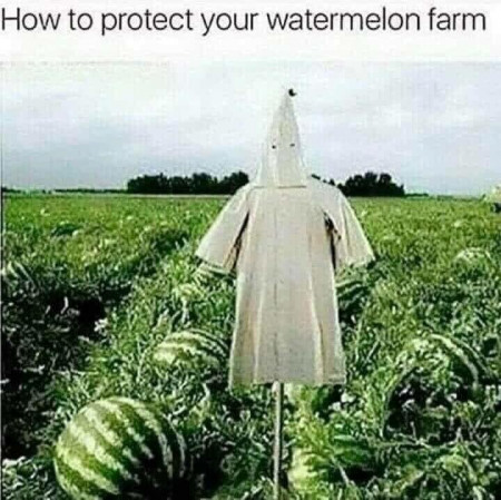 6afd7c7f6b318c0d.jpg