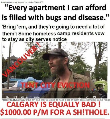 7c65d6c0dba278a6.jpeg