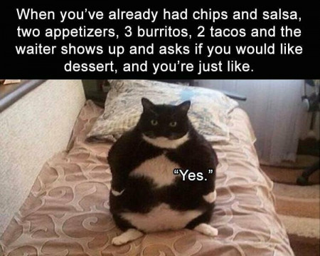 d62ab17c0bd5dd95.jpg