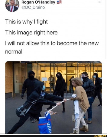 20877ecb0eddc4fa.jpg