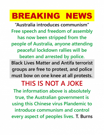 c2ffcf70daf25788.png