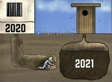 c0a419ec6d1be1e1.jpeg