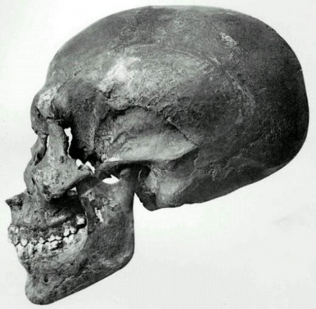 kv55skull.jpg