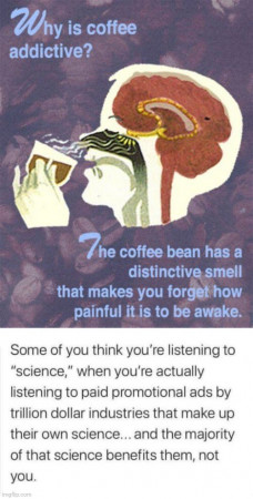 766e9c8990820559.jpg