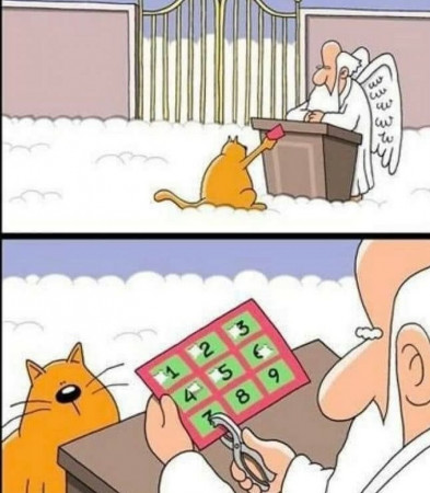 3f868a7c8b7a52c6.jpeg