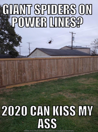 26e22f42a33c581d.png