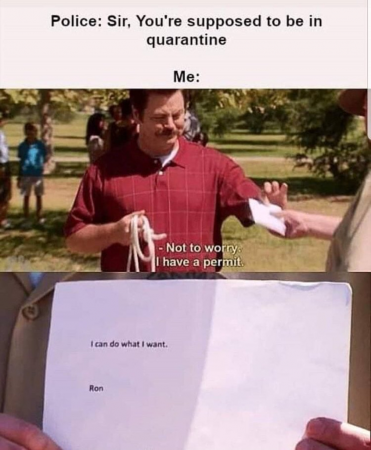 bd9b6c671de9cb24.png