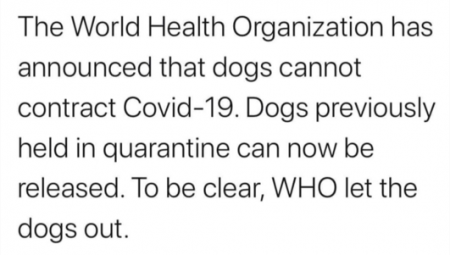 d8e2acff7f9fda1c.png