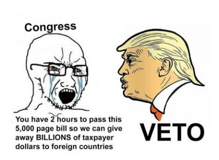 vetoad.jpg