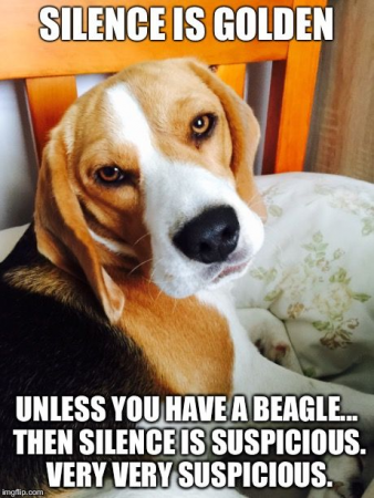 a1a068426d4820c5.png