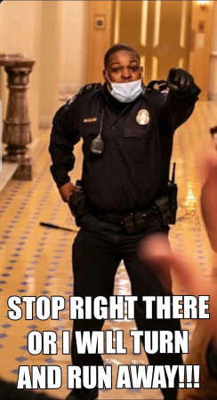 dc guard.jpeg