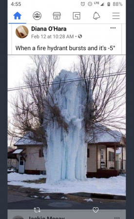 bb9d5a5895ca7c12.jpeg