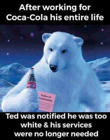 coca bear.jpg