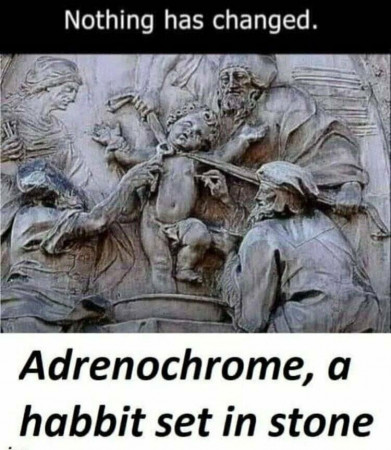 0cfae1daba2d23f0.jpeg