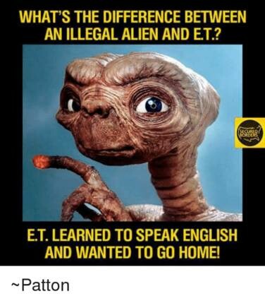 7d1f2e6b3f193b39.jpg
