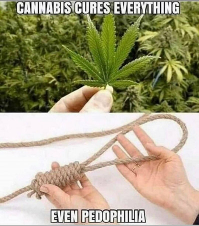 e71dfd0d9bf4bd6e.jpeg