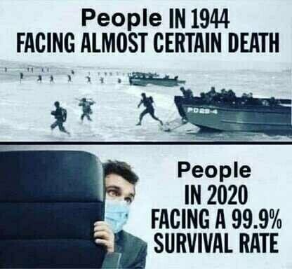 96e6a6d088e5f30c.jpeg