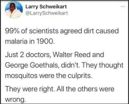 malatia.jpg