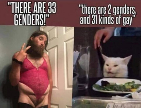 gay gender.jpg