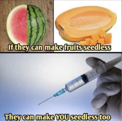 seedless.png