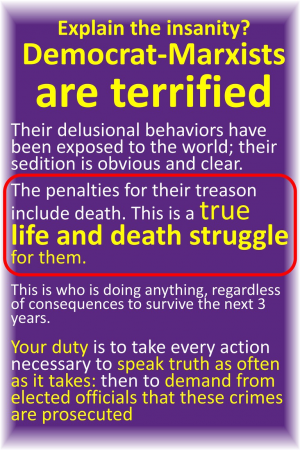 58d87749f8dbe1d1.png