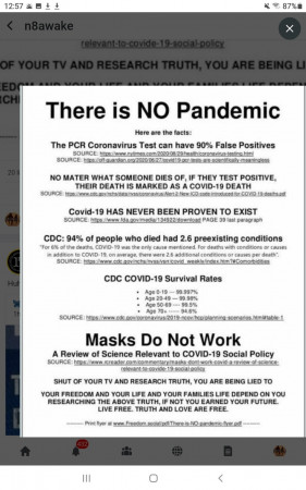 vax flu cv fraud.jpeg