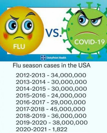 flu stats.jpg