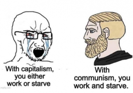 c593f5aaf8735e9c.png
