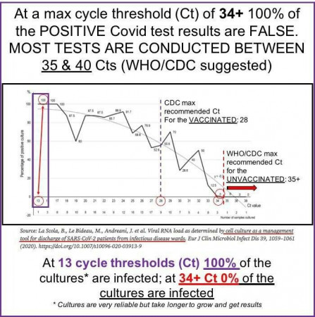 pcr.jpg