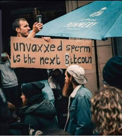 e7ea404de0a738ba.jpg