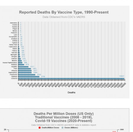 vax deaths.jpg