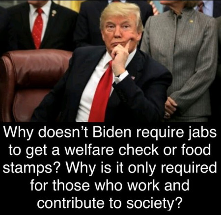 743e7b6772f0e885.jpg