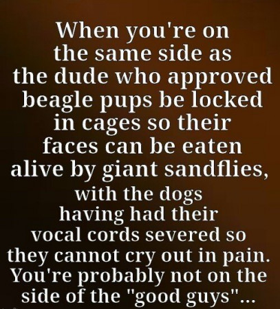 80c758549eafe6fb.jpg