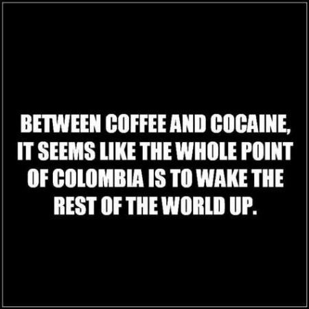 6b6f8a2936b89e63.jpg