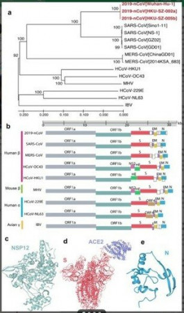 cv dna.jpg