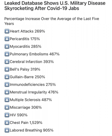 stats.png