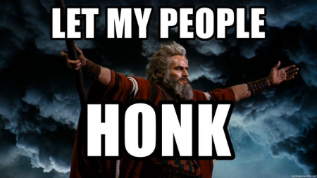 honk moses.jpeg