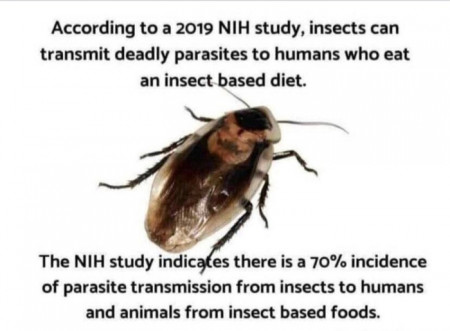 parasitex.jpg