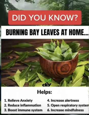 bay leaves.jpeg