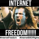Internet Freedom